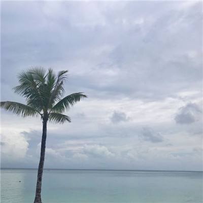 武动乾坤录内购破解版下载